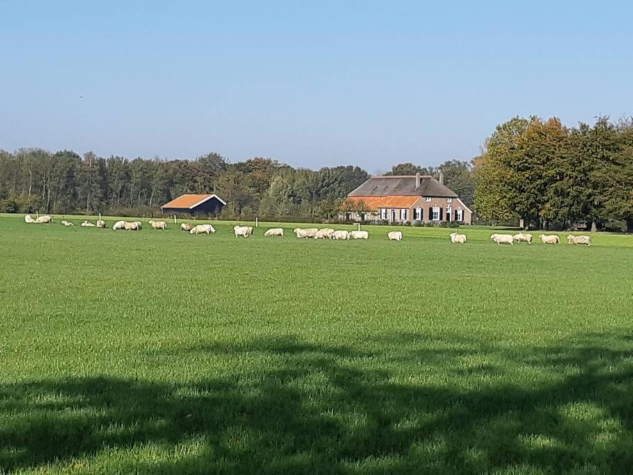 B&B Joostink In Vorden Εξωτερικό φωτογραφία